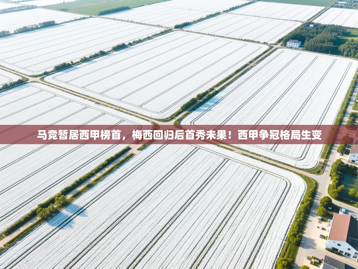 爱游戏体育娱乐-马竞暂居西甲榜首，梅西回归后首秀未果！西甲争冠格局生变  第4张