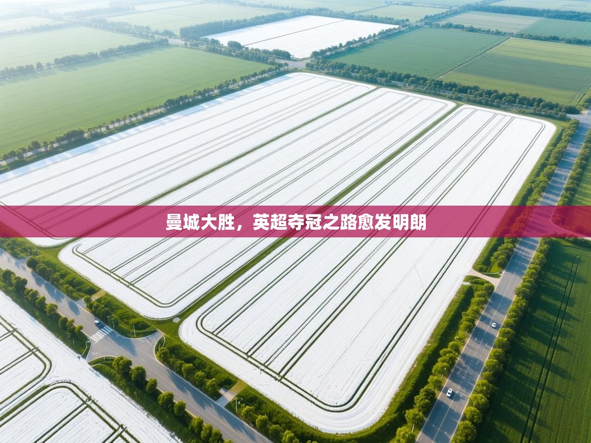 爱游戏体育娱乐赞助罗马-曼城大胜，英超夺冠之路愈发明朗  第2张